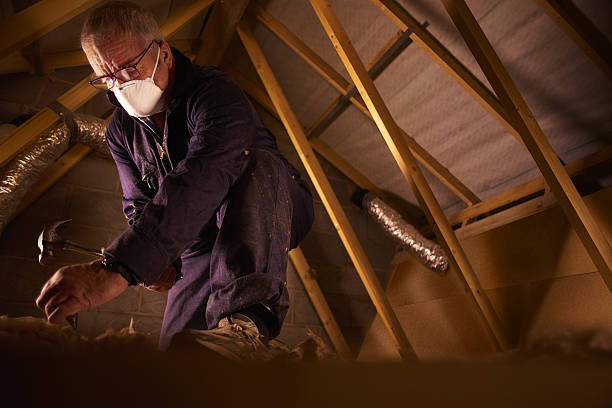 Best Insulation Maintenance and Repair in Corrigan, TX